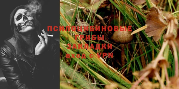 меф Нягань
