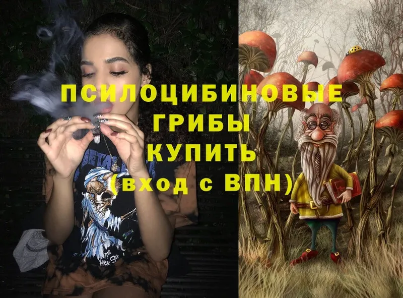 shop телеграм  Слюдянка  Псилоцибиновые грибы Psilocybe 